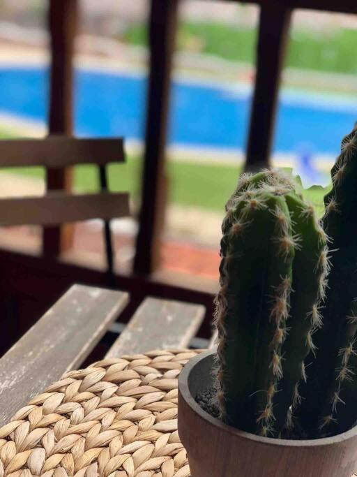 Coqueto Apartamento En Arona El Palm-Mar. Kültér fotó